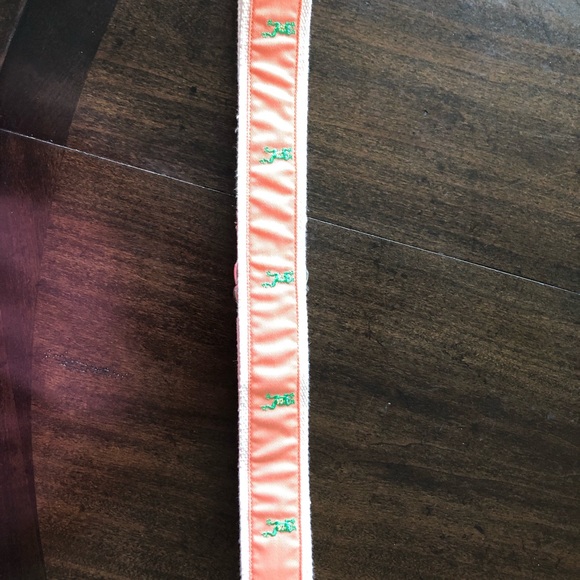 Lettia Frog belt- adjustable 40 inch long. Like new - Picture 3 of 7